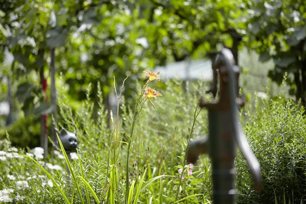 An Der Oelmuehle Kenn Bagian luar foto